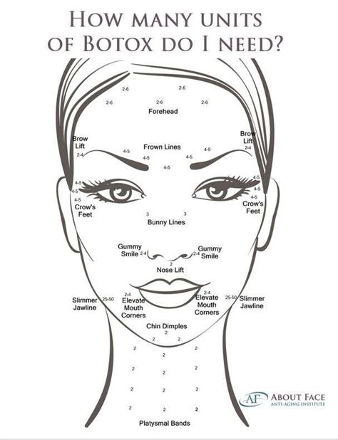 Template Botox Face Chart